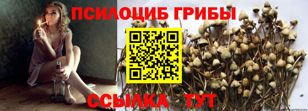 Псилоцибиновые грибы MAGIC MUSHROOMS Дмитров