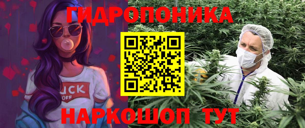 Конопля тримм  Вход с VPN  Дмитров  Каннабис OG Kush  Бошки Шишки планчик 
